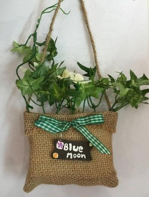 Bluemoon 3* суреті